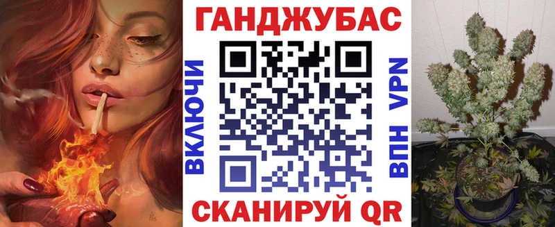 дарнет шоп  Нестеровская  Каннабис Amnesia 